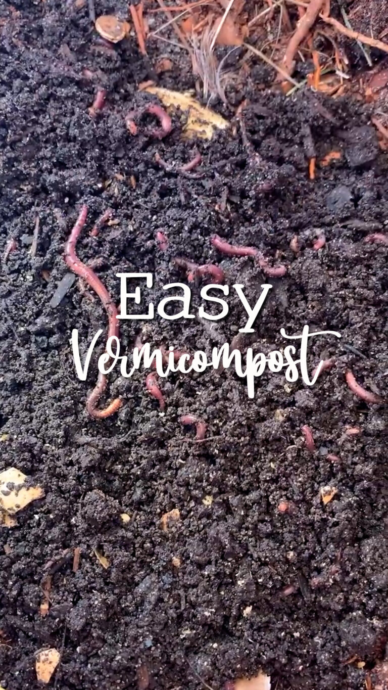 2024-09-13_HH Easy Vermicomposting Thumbnail